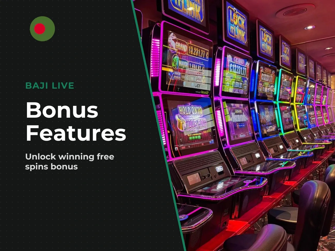 Free Spins Feature, Gamble Feature and