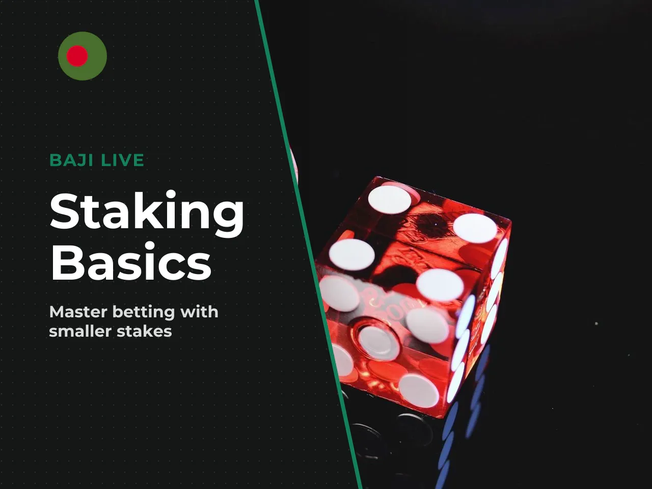 Beginner-friendly approach to staking. A beginner-friendly