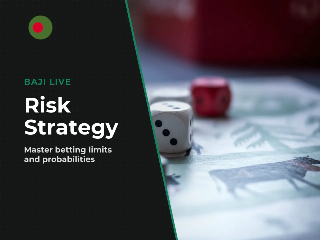 Risk Management and the Limits of